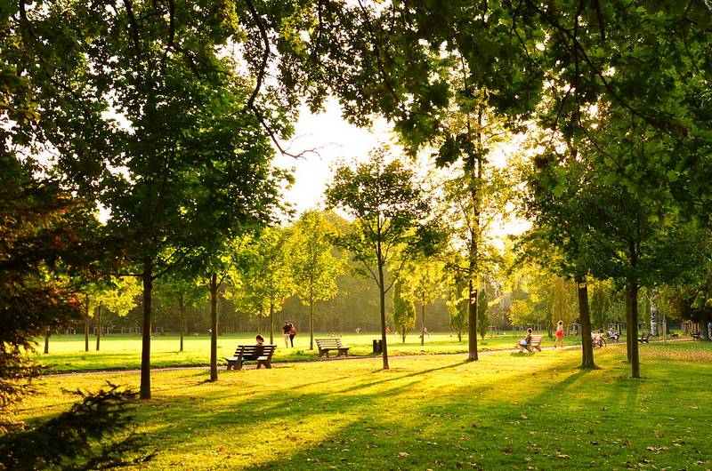 Faire du sport au parc de la tête d'or